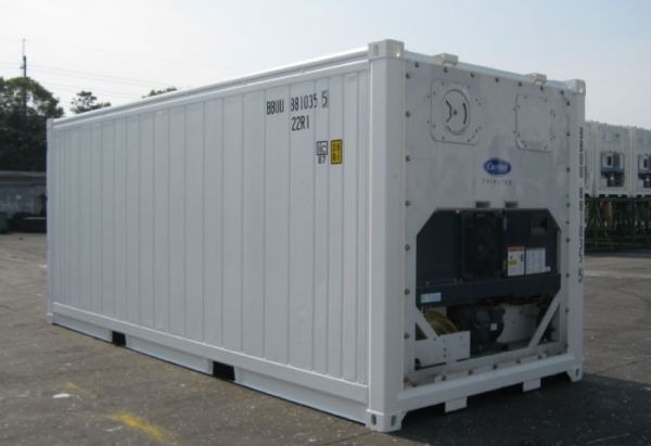 Nên lựa chọn container lạnh mới hay cũ sẽ tối ưu chi phí hơn