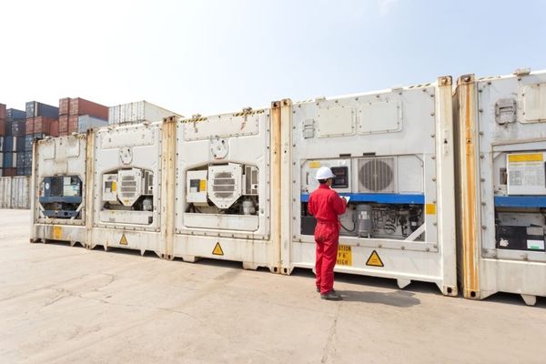 Bỏ qua kiểm tra container lạnh trước chuyến hàng có thể gây hư hỏng hàng hóa
