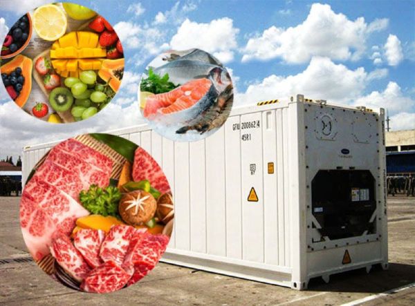 Sử dụng container lạnh vận chuyển hoa quả hiệu quả