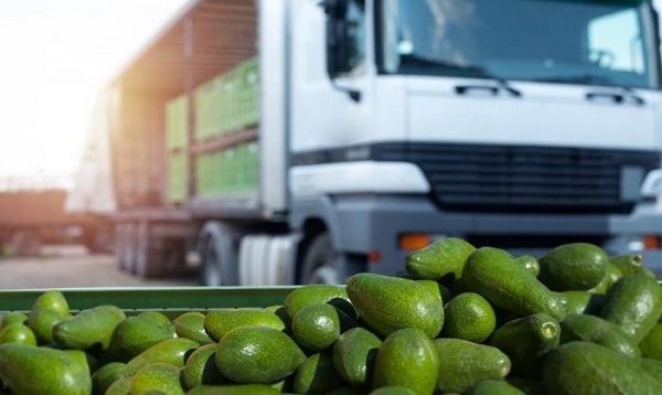 Tìm hiểu một số sai lầm khi sử dụng container lạnh để vận chuyển hoa quả