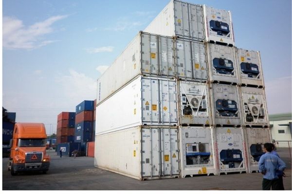 Container lạnh 10 feet là lựa chọn linh hoạt cho các đơn hàng nhỏ