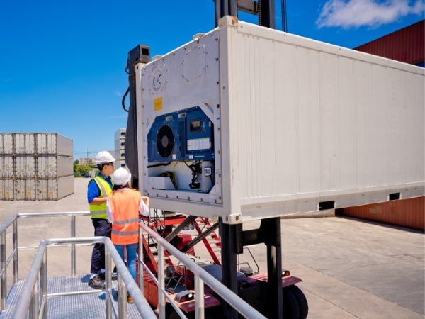 Đánh giá tổng thể tình trạng vật lý container