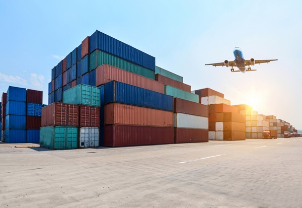 Khử trùng và chứng thư đúng hạn giúp hàng hóa xuất nhập khẩu thông quan suôn sẻ