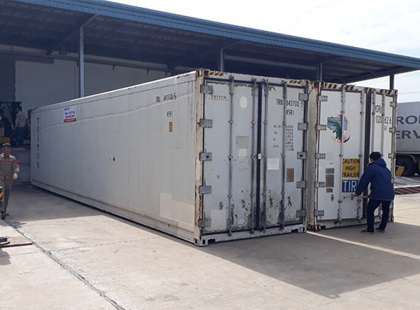 Quy trình mua container lạnh 40ft cũ chuẩn xác