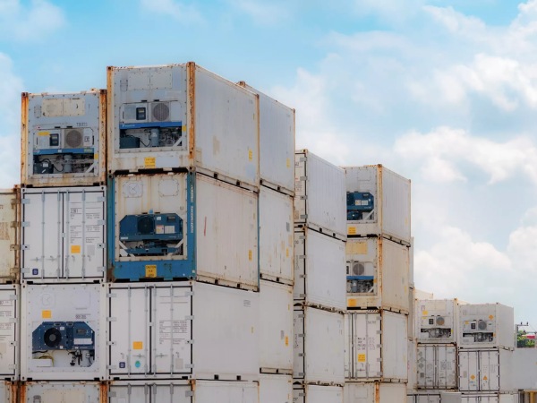Container lạnh được ứng dụng rộng rãi trong nhiều lĩnh vực