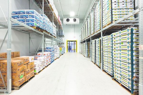 Vật tư kho lạnh đạt tiêu chuẩn giúp tiết kiệm chi phí và đảm bảo vệ sinh