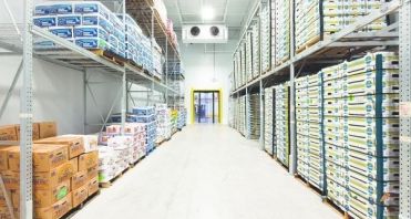 Khám phá các loại vật tư kho lạnh phổ biến nhất hiện nay